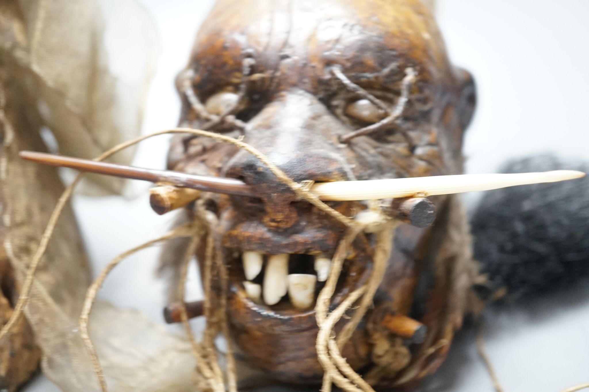 An African tribal carving, 31cm and a pottery model of a shrunken head